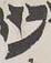 Letter - #5008