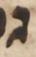 Letter - #50081