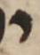 Letter - #50293