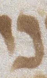Letter - #50494
