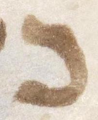 Letter - #50497