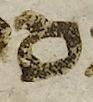 Letter - #50860