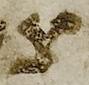 Letter - #50866