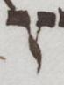 Letter - #50986