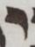 Letter - #51011