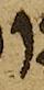 Letter - #51086
