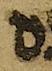 Letter - #51102