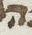 Letter - #51227