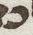 Letter - #51235