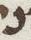 Letter - #51243