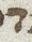 Letter - #51249