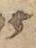 Letter - #51302