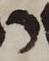 Letter - #51331