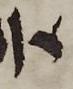 Letter - #51343