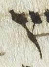 Letter - #51410