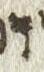 Letter - #51442