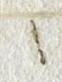 Punctuation - #51464