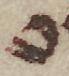 Letter - #51548