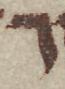 Letter - #51556