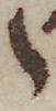 Letter - #51566