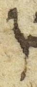 Letter - #51577