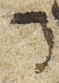 Letter - #51584