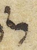 Letter - #51592