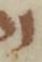 Letter - #51630