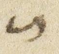 Letter - #51642