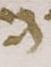 Letter - #51664