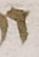 Letter - #51667