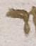 Letter - #51670