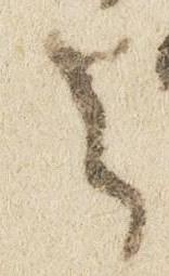 Letter - #51680
