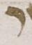 Letter - #51681