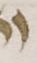 Letter - #51694