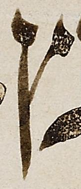 Letter - #51739