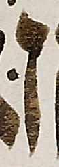 Letter - #51757
