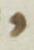Letter - #51798