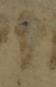 Letter - #51859
