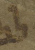 Letter - #51871