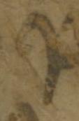 Letter - #51873