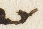 Letter - #51907