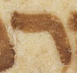 Letter - #51950