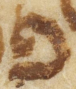 Letter - #51956