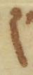 Letter - #51975