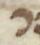 Letter - #52000