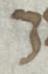 Letter - #52034