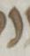 Letter - #52048