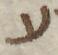 Letter - #52056