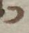 Letter - #52066